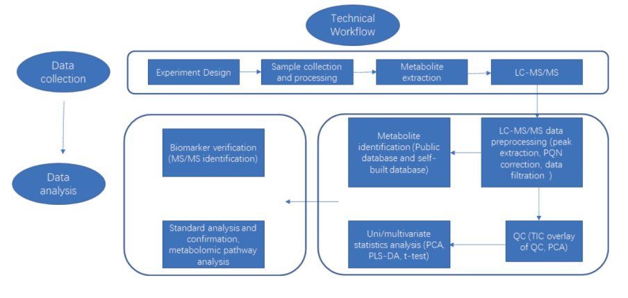 Untargeted Metabolomics